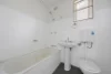 151 Elizabeth Street, Ashfield, NSW 2131-Image