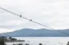 151 Gravelly Beach Road, Blackwall TAS 7275-Image
