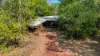 151 Hillier Road, Howard Springs, NT 0835-Image