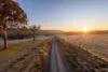 151 Morris Road, Woodlands, NSW 2575