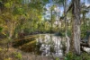 1513 Mount Cotton Road, Burbank QLD 4156-Image