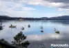152 Flinders Street, Beauty Point, Tas 7270-Image