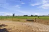152 Ivydale Road, Gregadoo, NSW 2650-Image