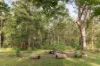 152 Pomona Kin Kin Road, Pinbarren, Qld 4568-Image