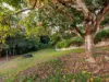 152 River Road, Gympie, Qld 4570-Image
