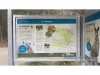 152 SIDNEY NOLAN DRIVE, Coombabah, Qld 4216-Image