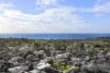 152 Somerset Drive, Mount Martha, Vic 3934-Image