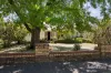 1520 Sturt Street, Lake Wendouree, Vic 3350-Image