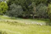1528 Daylesford Malmsbury Road, Denver, Vic 3461-Image