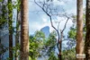 153 Braeside Drive, Uki, NSW 2484-Image