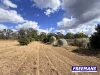 153 Maguire Road, Wattle Camp, Qld 4615-Image