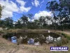 153 Maguire Road, Wattle Camp, Qld 4615-Image