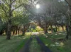153 Montumana Road, Rocky Cape, Tas 7321-Image