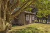 153 Montumana Road, Rocky Cape, Tas 7321-Image