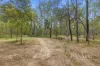153 Mundoolun rd, Jimboomba, Qld 4280-Image