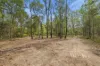 153 Mundoolun rd, Jimboomba, Qld 4280-Image