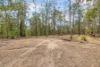 153 Mundoolun Road, Jimboomba, Qld 4280-Image