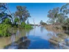 1530 East Front Road, Younghusband, SA 5238-Image