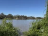 1530 East Front Road, Younghusband, SA 5238-Image