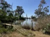 1530 East Front Road, Younghusband, SA 5238-Image