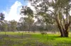 154 Chaplins Road, Walmer, Vic 3463-Image