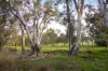154 Chaplins Road, Walmer, Vic 3463-Image