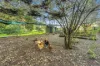 154 Engle Road, Reesville, Qld 4552-Image