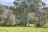 154 Kevill Road, Margaret River, WA 6285-Image