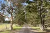 1545 Mickleham Road, Yuroke, Vic 3063-Image