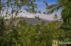 155 Bielby Road, Chapel Hill, Qld 4069-Image