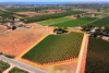 155 Dunstone Road, Barmera SA 5345-Image