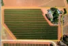 155 Dunstone Road, Barmera SA 5345-Image