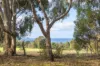 155 Eagle Bay Road, Naturaliste, WA 6281-Image