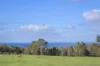 155 Eagle Bay Road, Naturaliste, WA 6281-Image