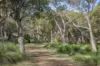155 Eagle Bay Road, Naturaliste, WA 6281-Image