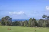 155 Eagle Bay Road, Naturaliste, WA 6281-Image