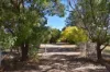 155 Falls Road, Wellington, NSW 2820-Image