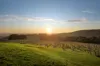 155 Gardens Road, Rosebud, Vic 3939-Image
