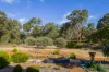155 Guernsey Rise, Chittering, WA 6084-Image