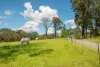 155 Hazeldene Road, Gladysdale, Vic 3797-Image