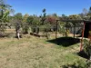 155 Nambour - Mapleton Road, Nambour, Qld 4560-Image