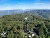 155 North Road, Lower Beechmont, Qld 4211-Image