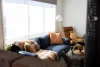 155 Tasman Street, Devonport, Tas 7310-Image