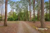 155 Wallaby Way, Pheasant Creek, Vic 3757-Image