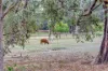 155 Wilson Road, Chidlow, WA 6556-Image