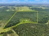 155 Wrench Road, Ellangowan, NSW 2470-Image