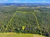 155 Wrench Road, Ellangowan, NSW 2470-Image