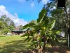 1558 Beatrice Way, Ravenshoe, Qld 4888-Image