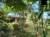 1558 Beatrice Way, Ravenshoe, Qld 4888-Image