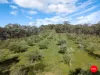 156 Bradleys Lane, Heathcote, Vic 3523-Image
